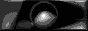 FCbw.gif