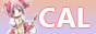 cal_2.gif